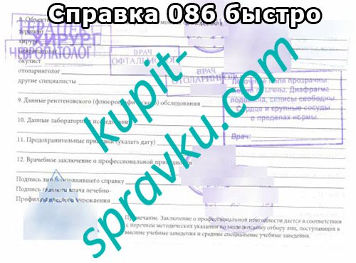 Справка 086 быстро, Фото №2