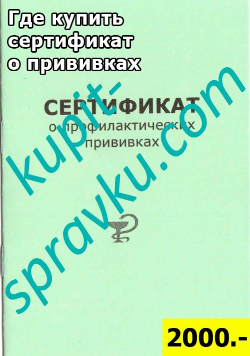 Где выгодно и недорого купить сертификат о прививках?