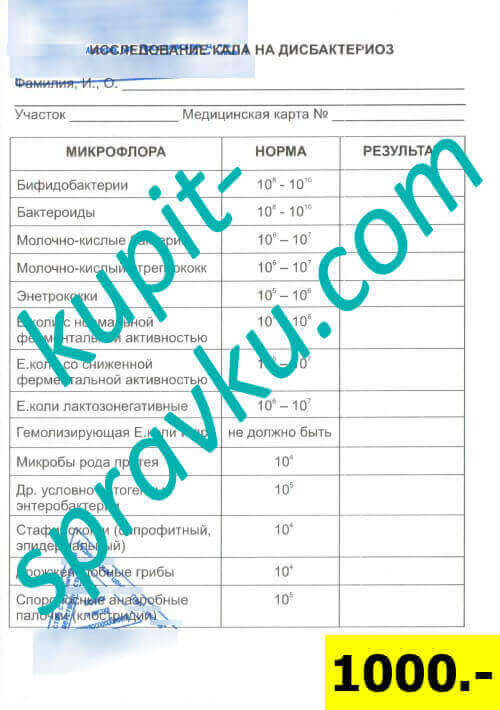 Анализ кала на дисбактериоз