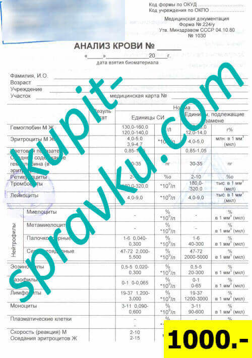 Общий анализ крови (форма 224/у)